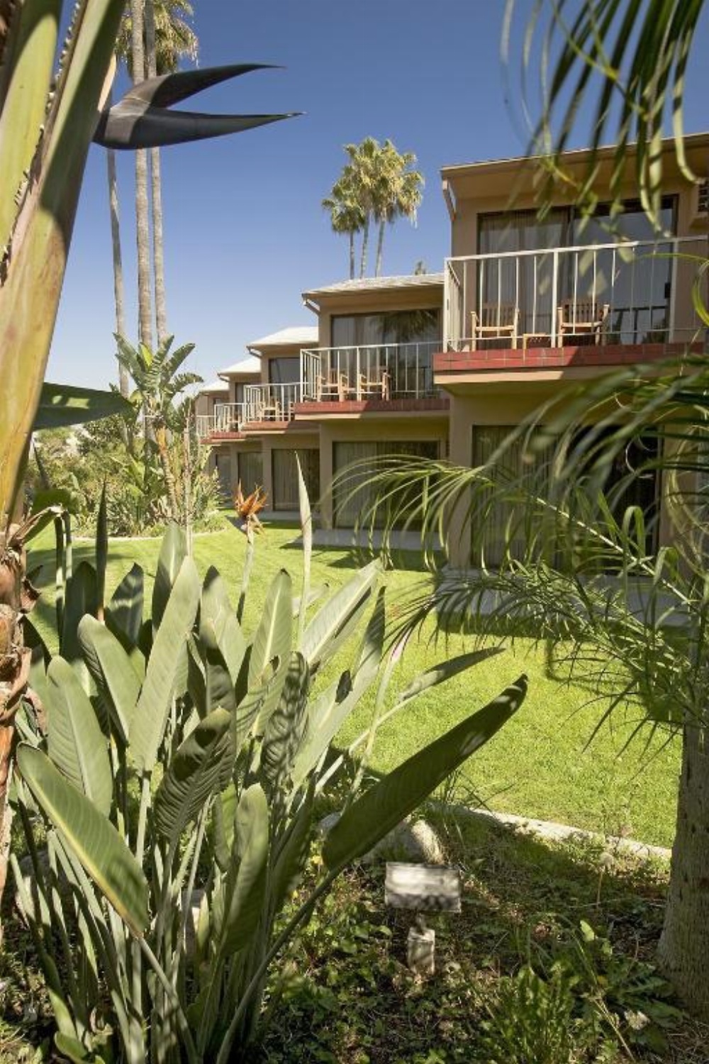 Best Western Pine Tree Motel