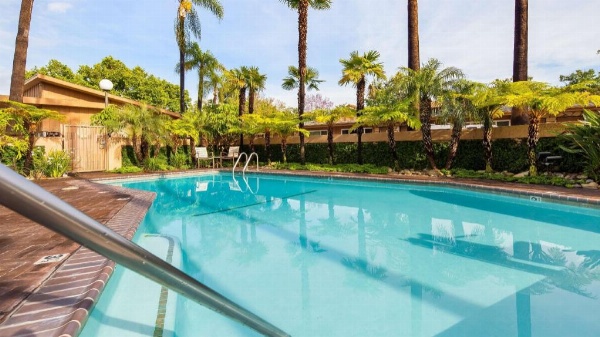 Best Western Pine Tree Motel image 5